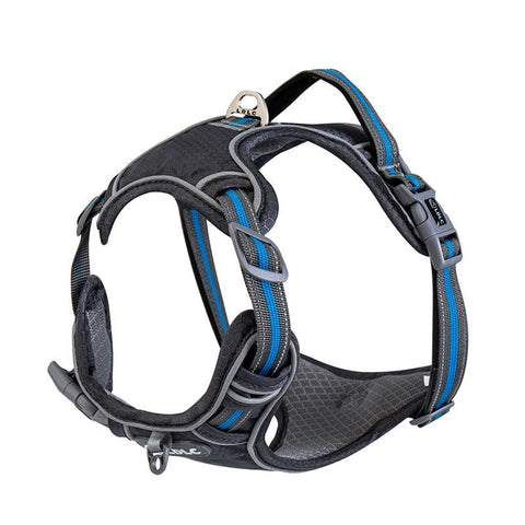 Explosive Adventure Dog Harness
