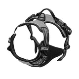 Explosive Adventure Dog Harness