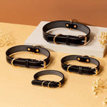 Rugged Leather Dog Collar