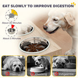 Elevated Dog Bowls with Storage Cabinet,  2 Stainless Steel Bowls