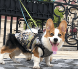 Winter Wonderland Pet Hooded Coat