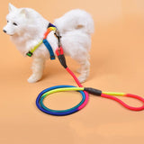Vibrant Nylon Round Handheld Dog Rope Leash - Stylish Pet Leash
