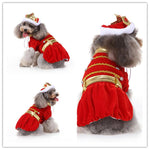 Funny Halloween Pet Costume