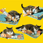 Pet Purrfect Cat Grass Toy