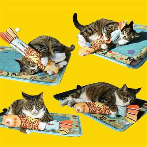 Pet Purrfect Cat Grass Toy