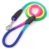 Vibrant Nylon Round Handheld Dog Rope Leash - Stylish Pet Leash