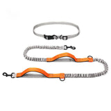 Ultimate Outdoor Adventure Dog Leash