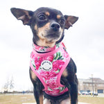 Pretty in Peonies Dog Collar