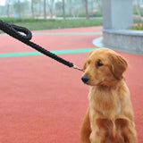 Super Strong Coarse Nylon Dog Leash Army Green Canvas