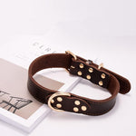 Petpals Comfortfit Dog Collar