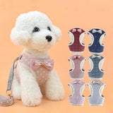 Pet Adventure Harness