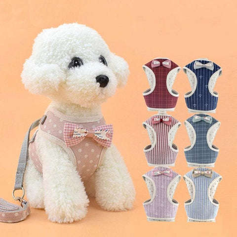 Pet Adventure Harness