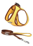 Pet Adventure Chest Harness And Leash Combo
