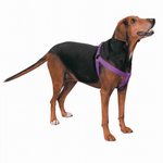 Premium Black Nylon Two-Step Dog Harness