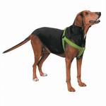 Premium Black Nylon Two-Step Dog Harness
