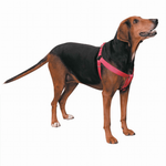 Premium Black Nylon Two-Step Dog Harness