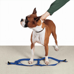 Premium Black Nylon Two-Step Dog Harness