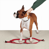 Premium Black Nylon Two-Step Dog Harness