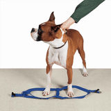 Premium Black Nylon Two-Step Dog Harness