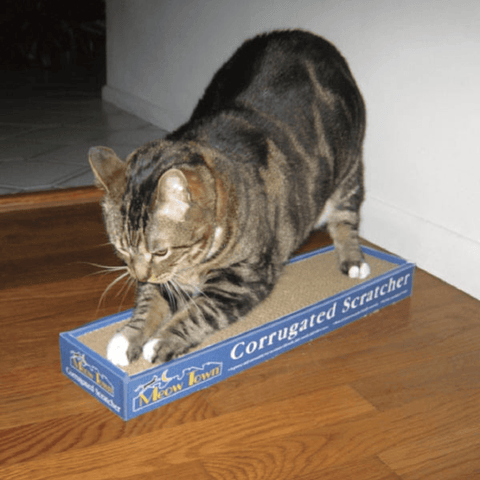 MT 19-Inch Corrugated Cat Scratcher Toy