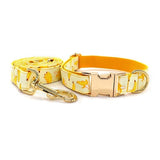 Fruitful Adventures Dog Leash And Collar