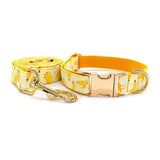 Fruitful Adventures Dog Leash And Collar