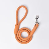 Small Dog Leash