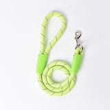Small Dog Leash