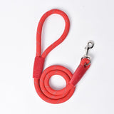 Small Dog Leash
