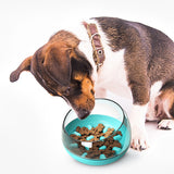 Space Capsule Dog Bowl Slow Food Bowl Tumbler Bowl