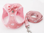 Grid Pattern Cat Chain Traction Rope Set With Chest Harness And Collar