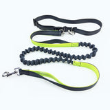 Ultimate Freedom Dog Leash: The Perfect Companion For Active Dogs