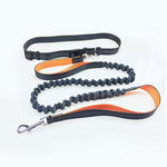 Ultimate Freedom Dog Leash: The Perfect Companion For Active Dogs
