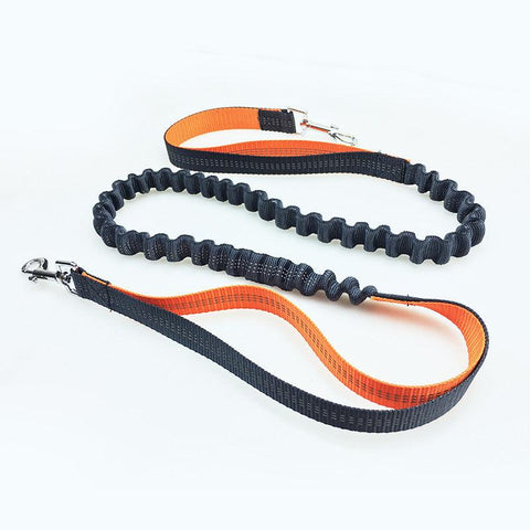 Ultimate Freedom Dog Leash: The Perfect Companion For Active Dogs