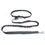 Ultimate Freedom Dog Leash: The Perfect Companion For Active Dogs