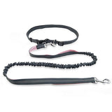 Ultimate Freedom Dog Leash: The Perfect Companion For Active Dogs