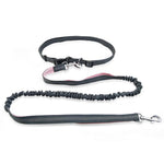 Ultimate Freedom Dog Leash: The Perfect Companion For Active Dogs