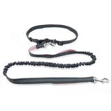 Ultimate Freedom Dog Leash: The Perfect Companion For Active Dogs