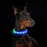 Usb Rechargeable Led Dog Collar
