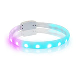 Usb Rechargeable Led Dog Collar