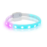 Usb Rechargeable Led Dog Collar