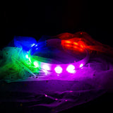 Usb Rechargeable Led Dog Collar
