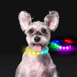Usb Rechargeable Led Dog Collar