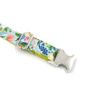 Premium Garden Collection Dog Leash And Collar Set