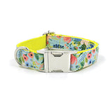 Premium Garden Collection Dog Leash And Collar Set