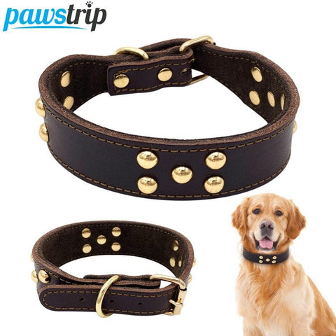 Petpals Comfortfit Dog Collar