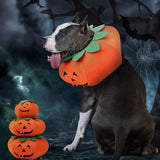 Halloween Pumpkin Pup Collar