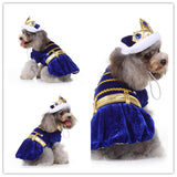Funny Halloween Pet Costume