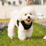 Mr. Peanut's PupTrek Choke-Free Soft Mesh Harness Vest for Small Pets