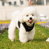 Mr. Peanut's PupTrek Choke-Free Soft Mesh Harness Vest for Small Pets